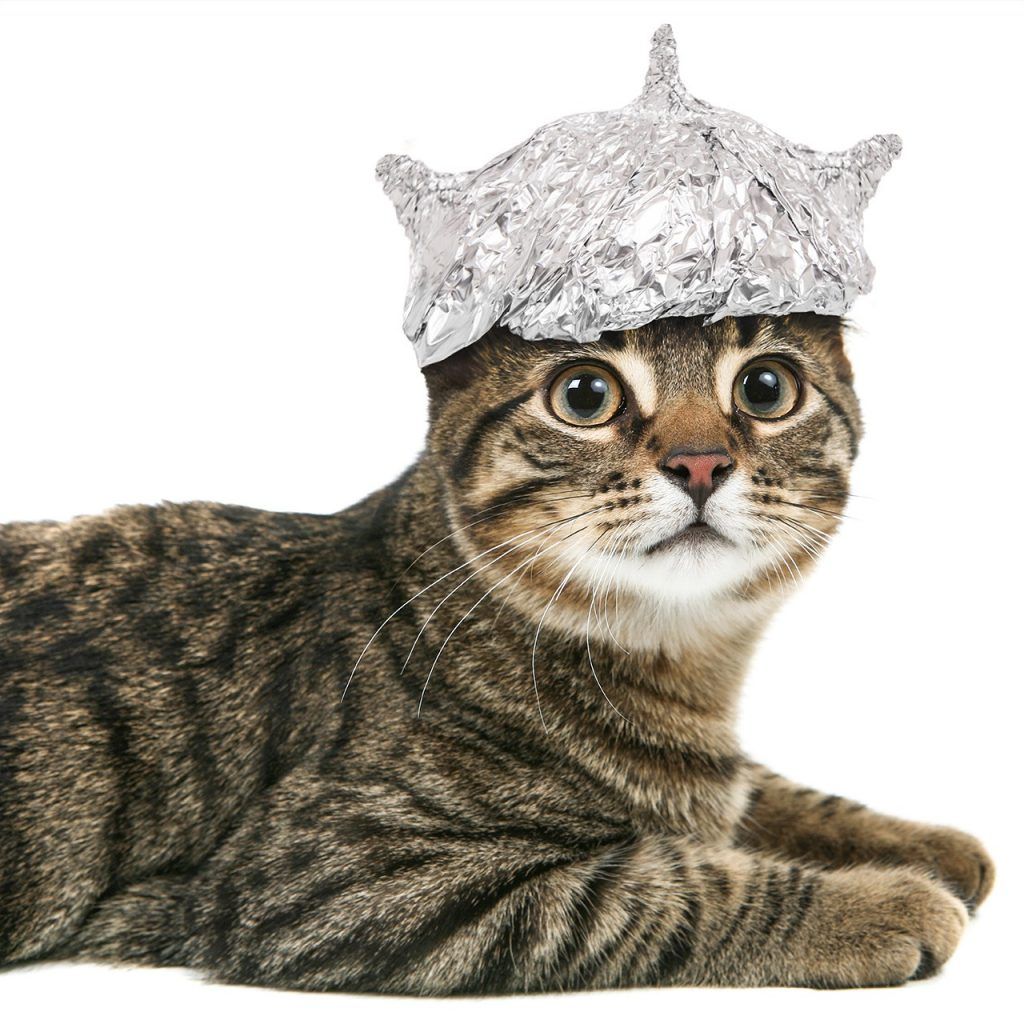 tinfoilhatday-3-1024×1024-1