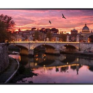 Monitor Industrial Qm55B 55 pulgadas, 4K UHD con Web Browser