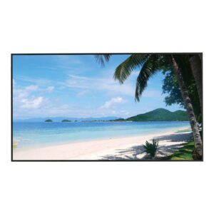 MONITOR LCD INDUSTRIAL 55pulg 4K ULTRA HD - LM55-S400-SE-V1