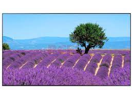 MONITOR INDUSTRIAL 43pulg 4K Ultra HD - LH43QMBEBGCXZA