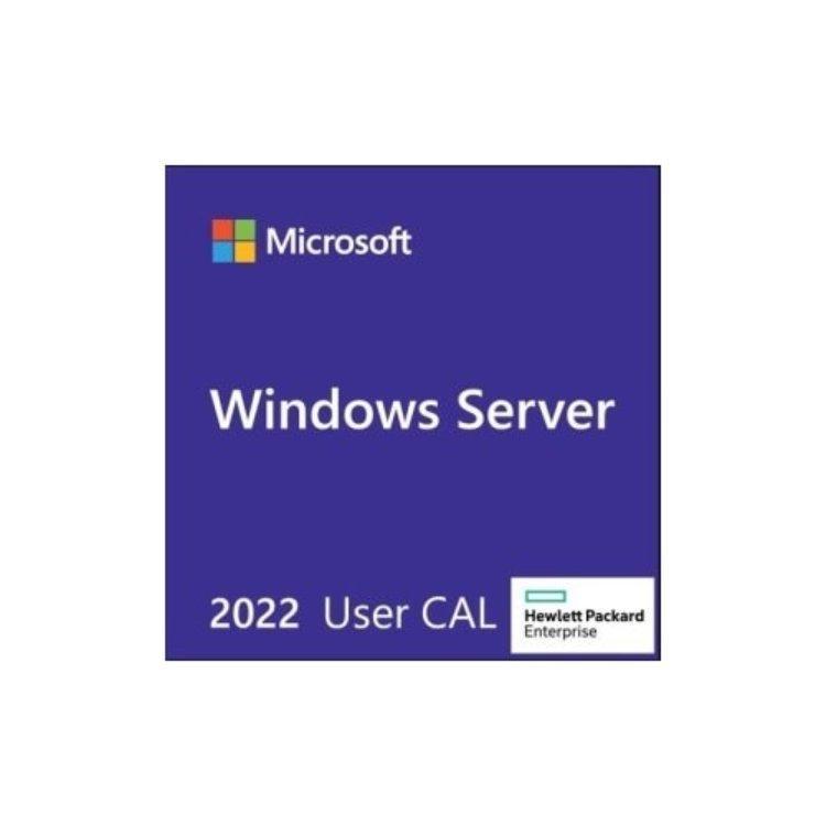 LICENCIA MS WS22 5USR CAL WW LTU